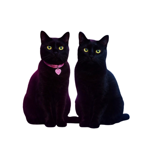 Brand guardians
